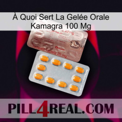 À Quoi Sert La Gelée Orale Kamagra 100 Mg new13